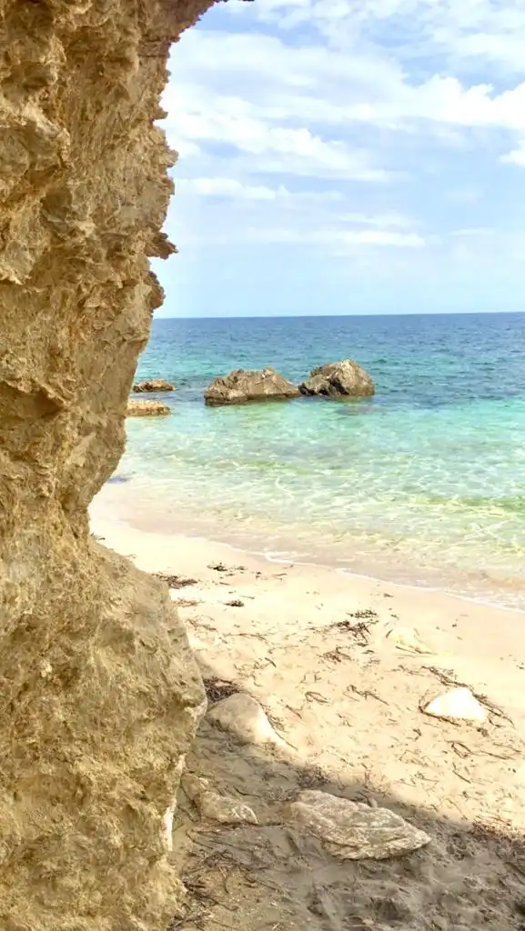 Dúplex de alquiler en Passeig Del Pintor Miquel Vives, 60, Port Nou - Port Verd - Port Vell