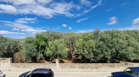 Foto 2 von Wohnung zur Miete in Sa Pobla, Illes Balears