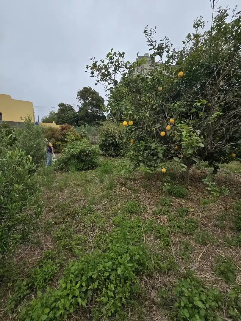 Casa o xalet en venda en Tacoronte amb Balcó