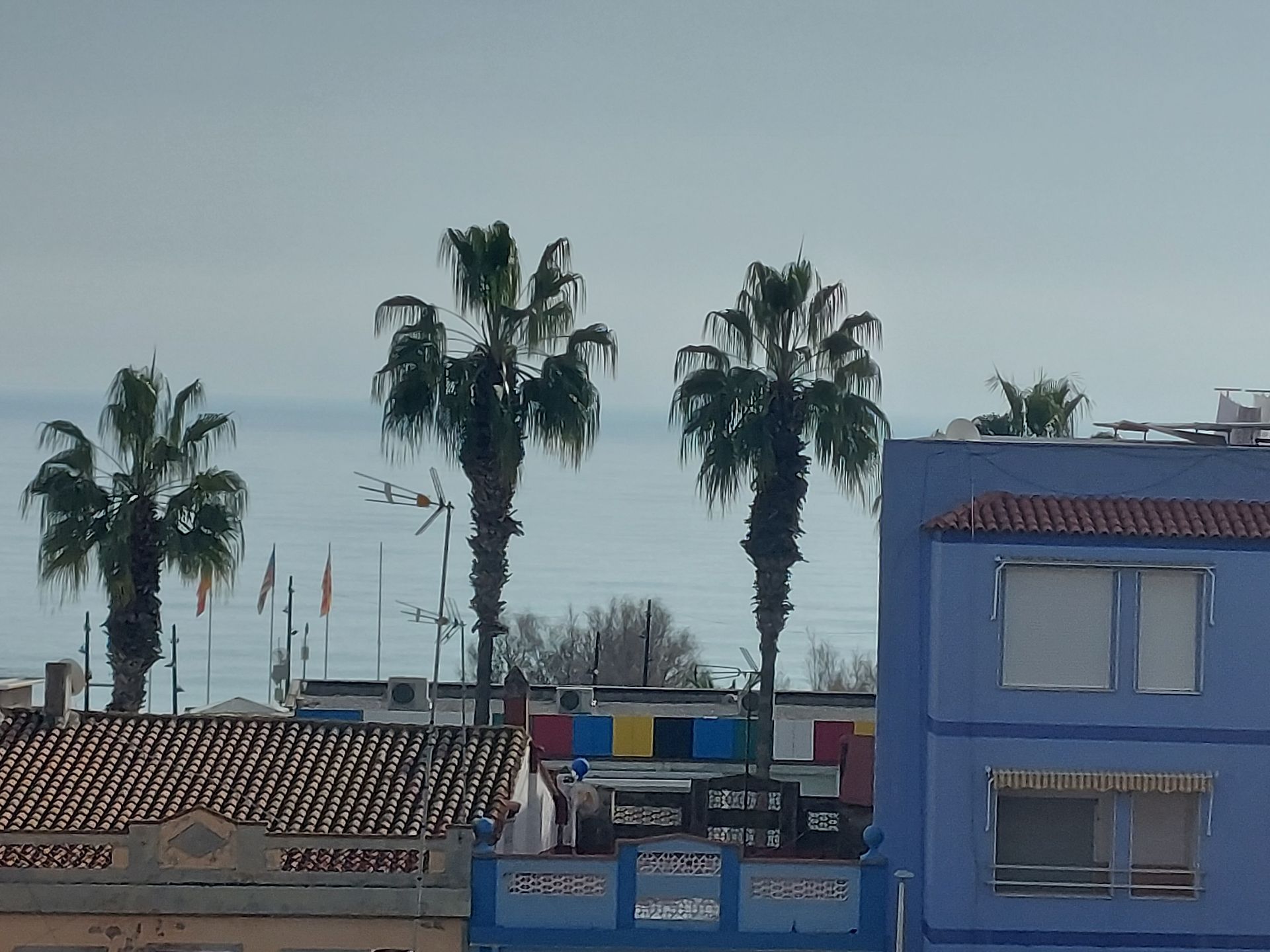 Exterior view of Attic for sale in Moncofa  with Heating and Terrace