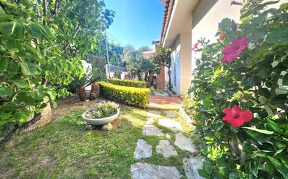 Jardí de Casa o xalet en venda en El Masnou amb Aire condicionat, Terrassa i Balcó