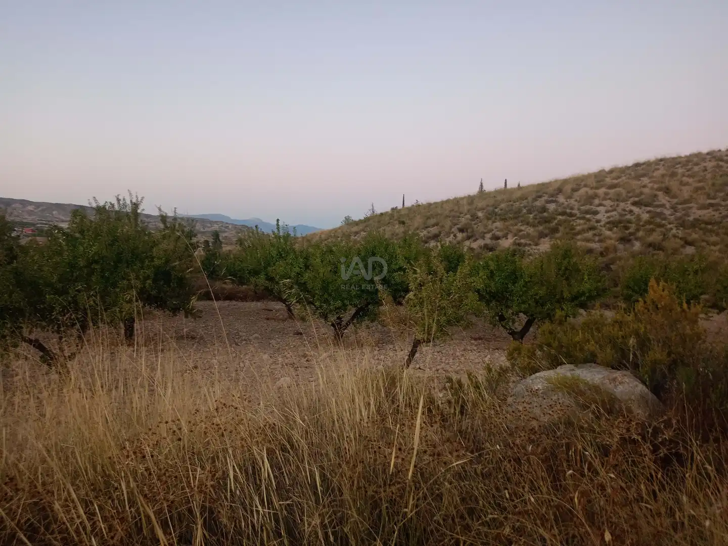 Country homes for sale in Lorca