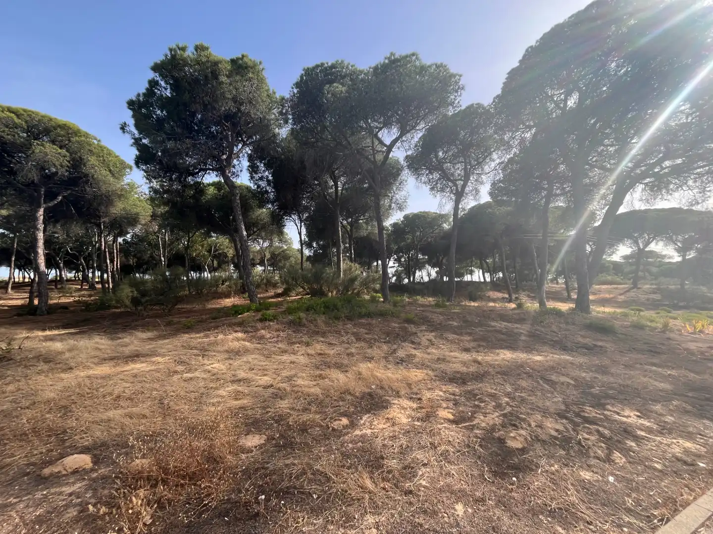 Casa o chalet en venta en Islantilla con Amueblado
