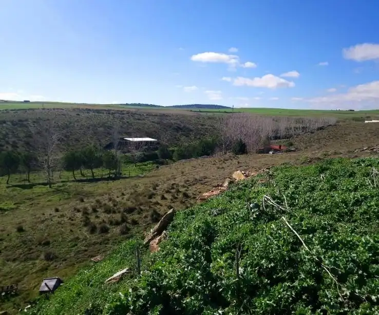 Terreny residencial en venda a Carretera SECTOR UR-3