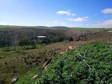 Terreno residencial en venta en Carretera SECTOR UR-3