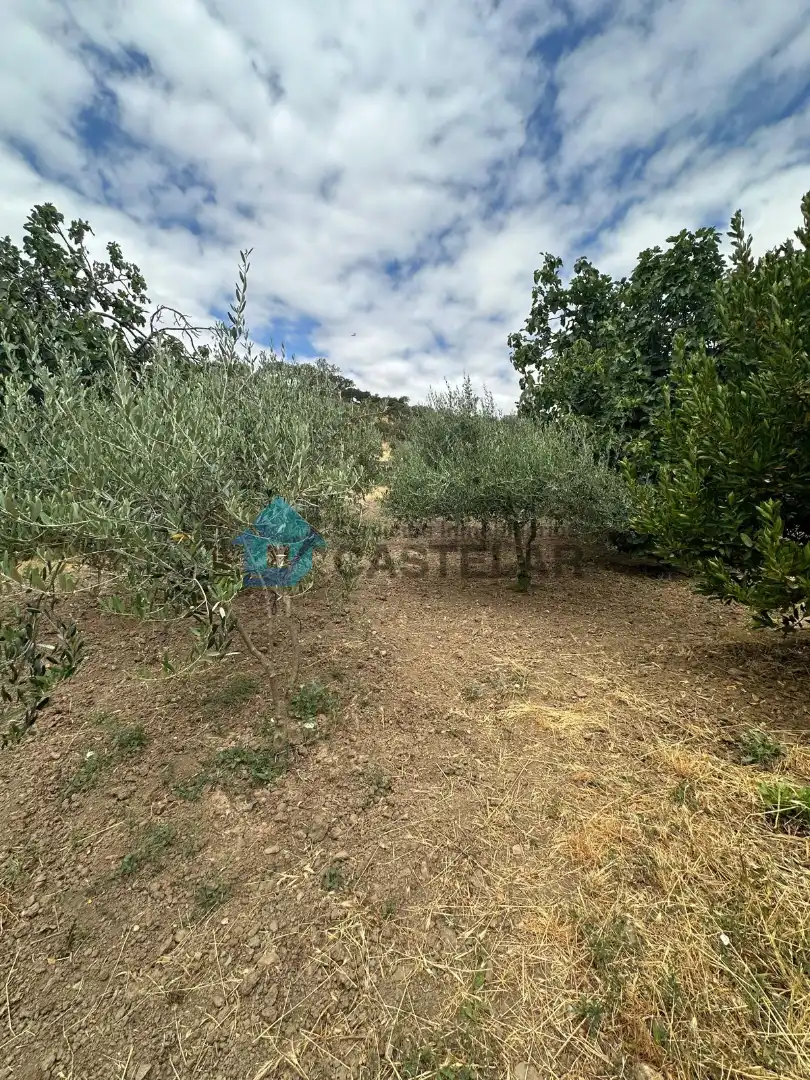 Casa o xalet en venda en Oliva de la Frontera amb Moblat