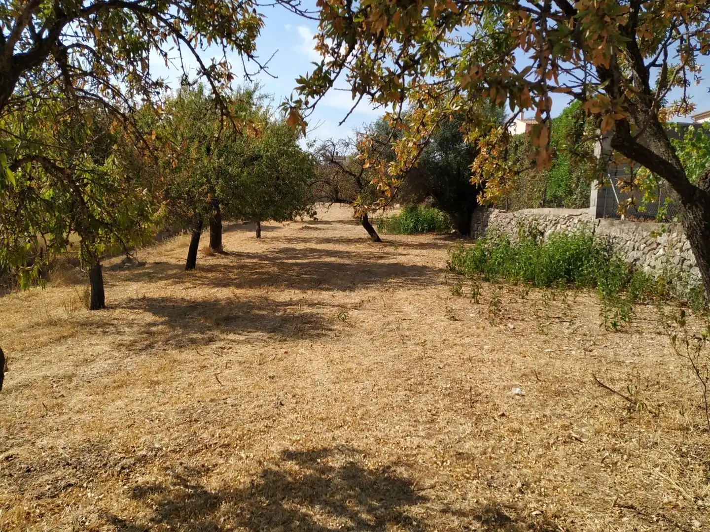 Terreni e lotti in vendita a Selva, imagen 4