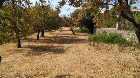 Solar en Moscari, immagine 4