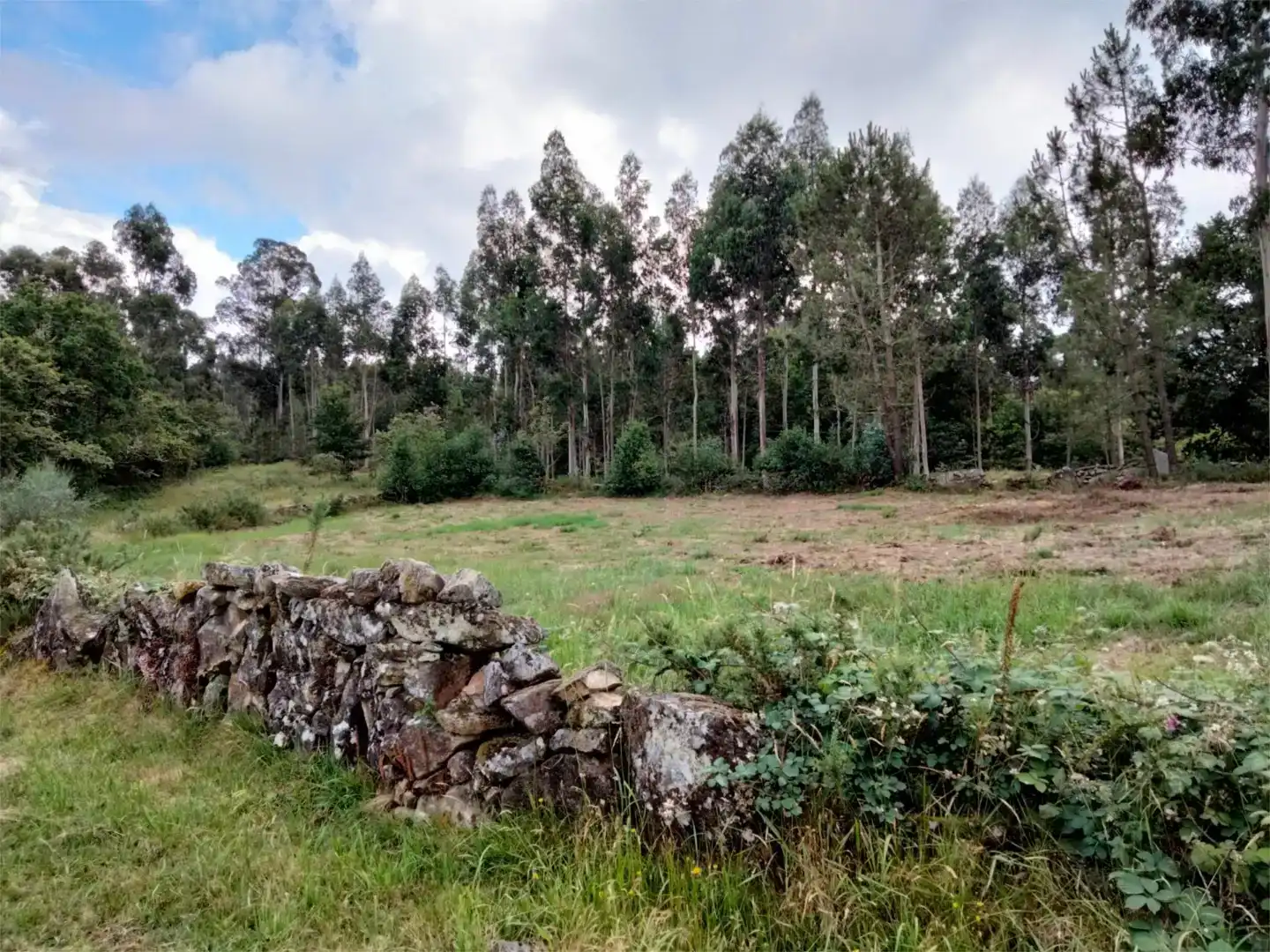 Finca rústica en venda en Cotobade
