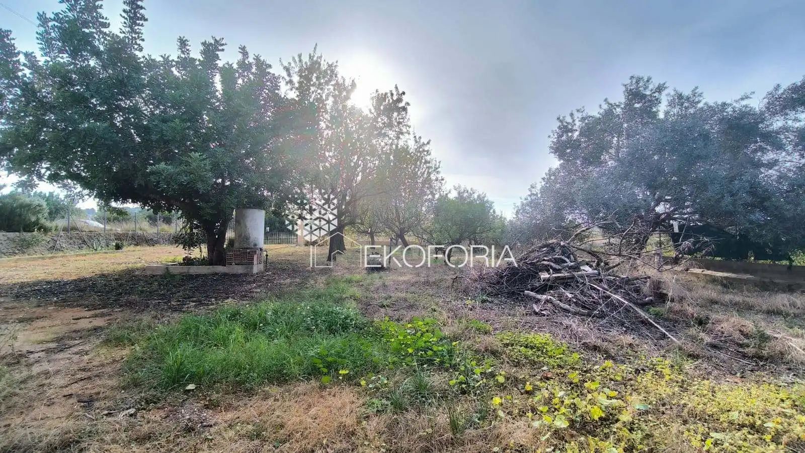 Casa amb piscina en venda a Olimar - Carambolo - Atalaya de Levante, imagen 42