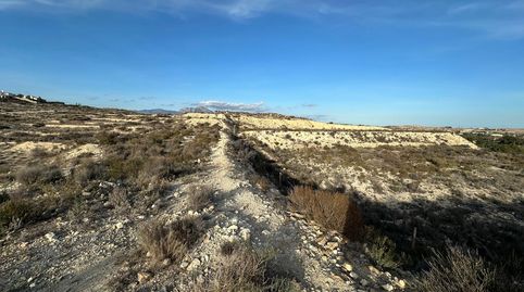 Foto 2 de Terreno en venta en Diseminado Tangel, Villafranqueza, Alicante / Alacant
