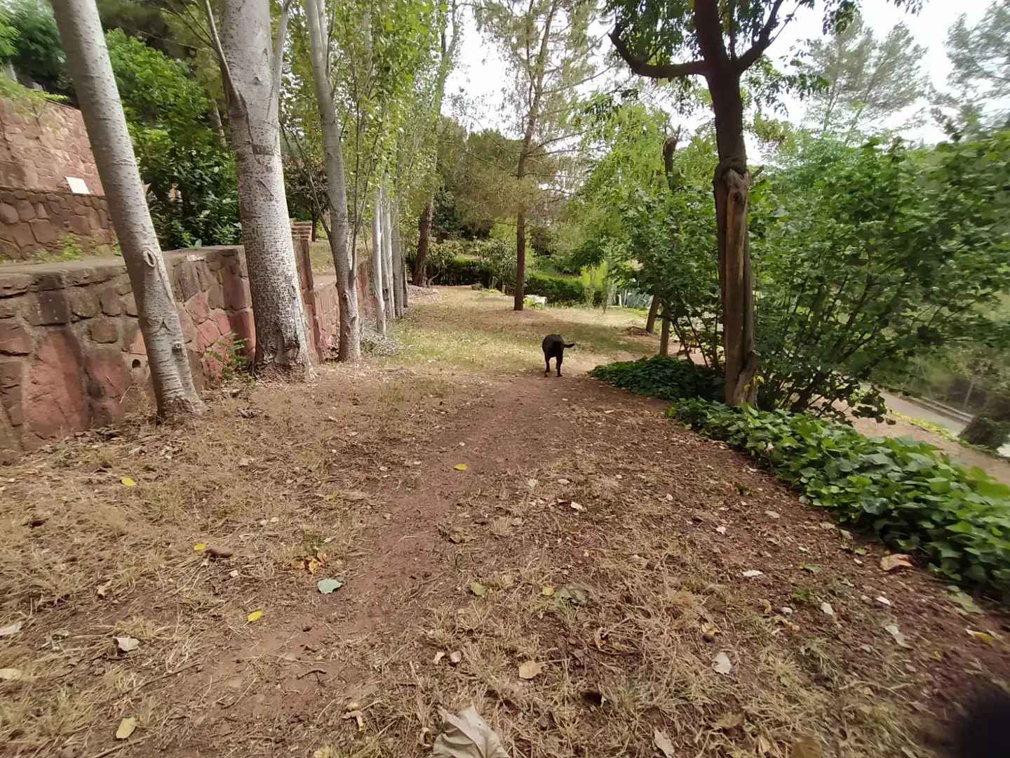 Terreny residencial en venda a Corbera de Llobregat, imagen 6