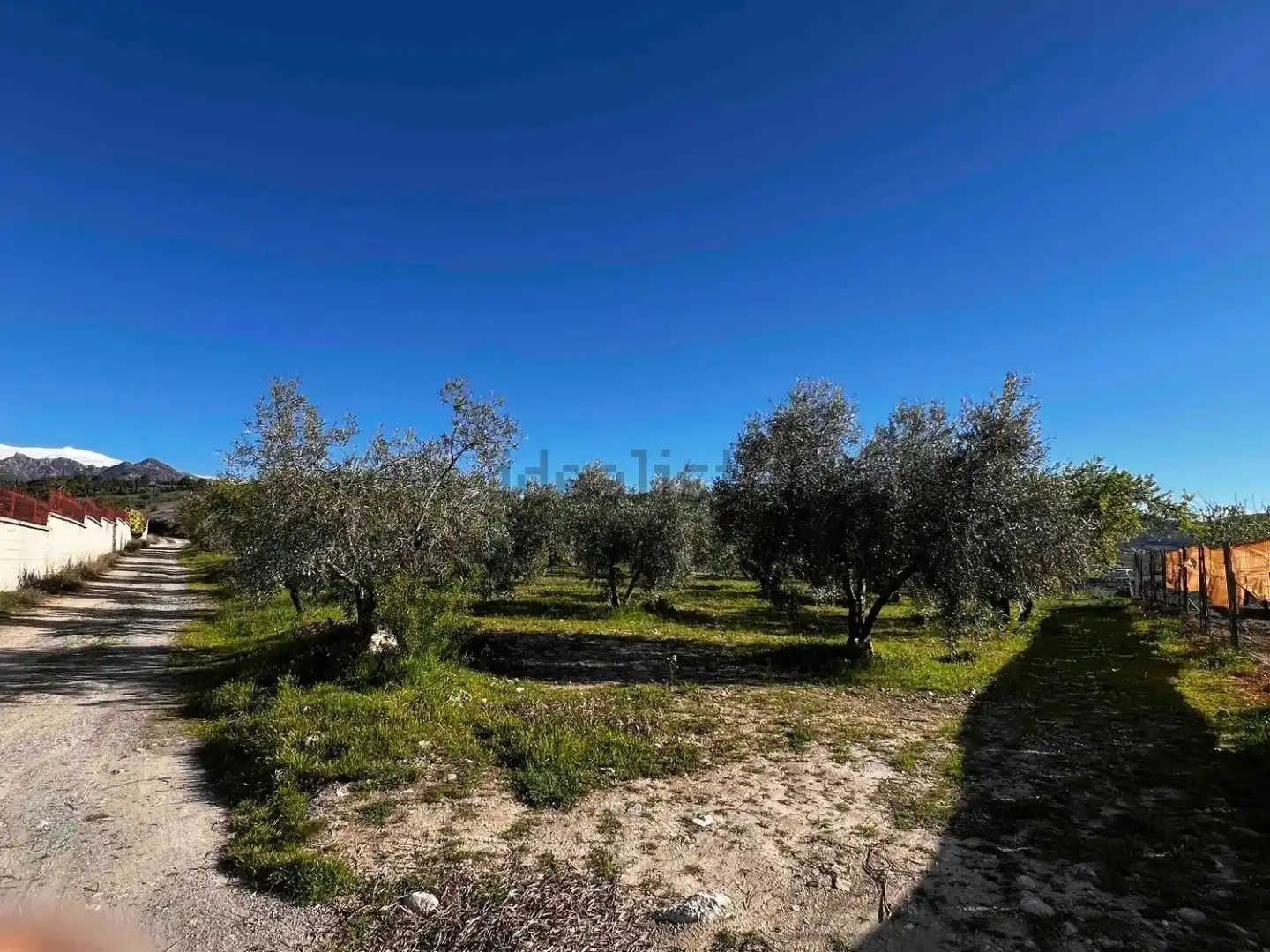 Land for sale in Gójar