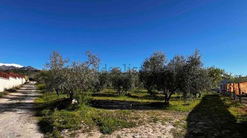 Foto 2 de Terreno en venta en Camino de la Gayomba, 18150, Gójar, Granada