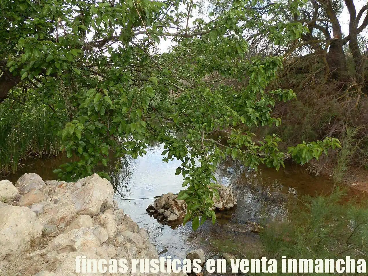 Terreny rústic en venda a Alcázar de San Juan, imagen 25
