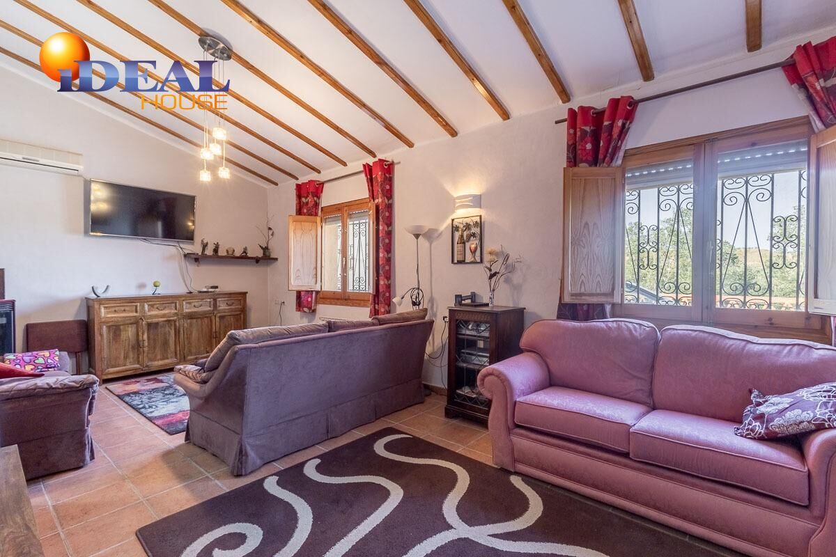 Sala d'estar de Casa o xalet en venda en Caniles amb Aire condicionat, Calefacció i Jardí privat