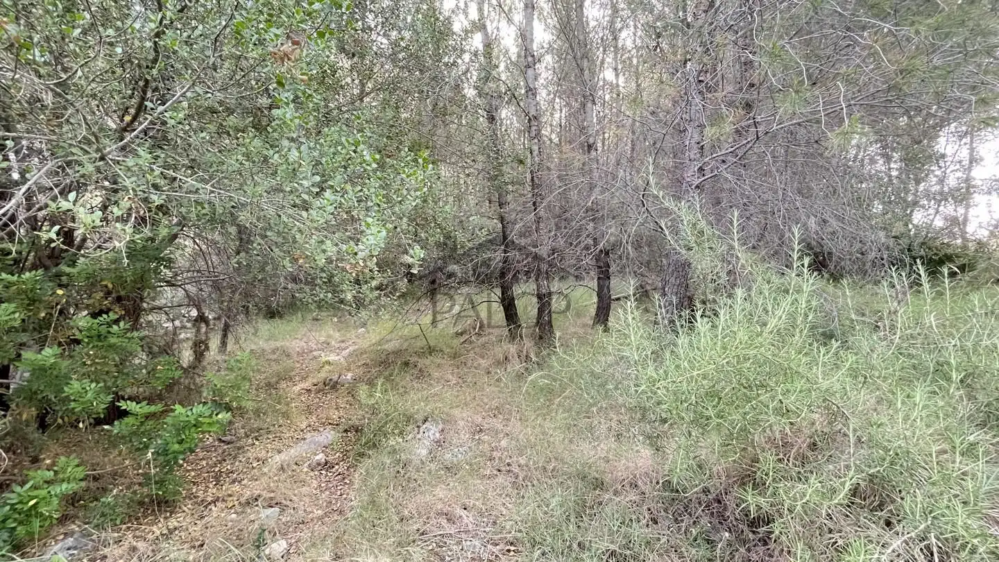 Finca rústica en venta en Carcaixent con Jardín privado, Terraza y Trastero