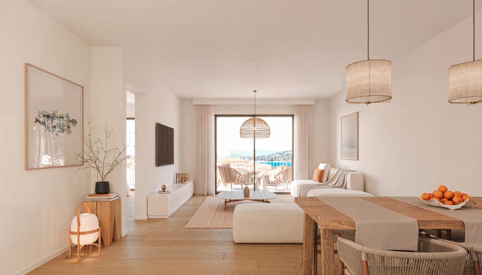 Foto 0 de Promoció BRAVA PALAMOS