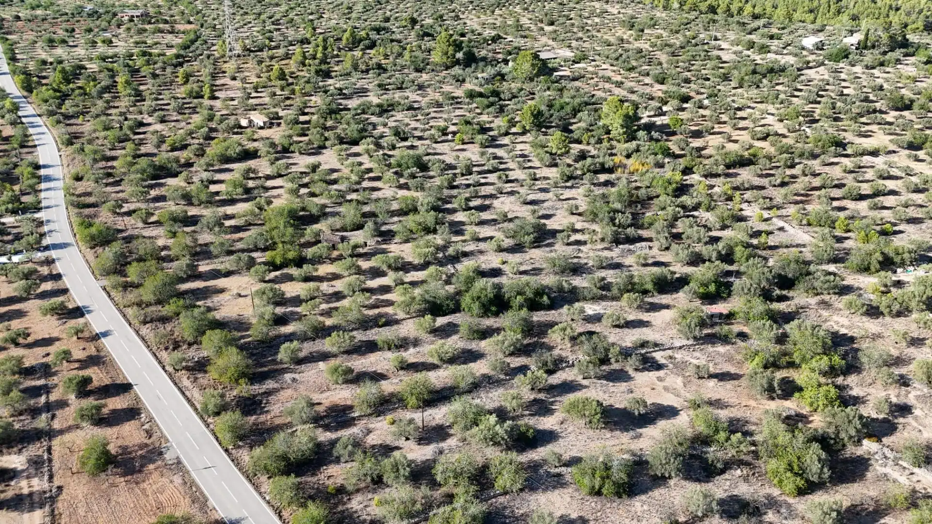 Finca rústica en venta en L'Ametlla de Mar 