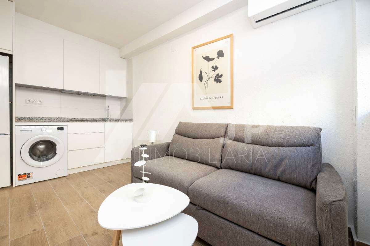 Living room of Study for rent in  Granada Capital  with Air Conditioner and Furnished