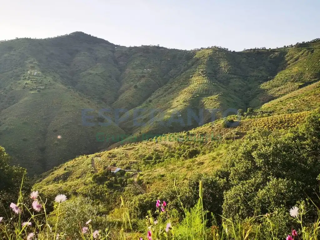 Terrenys i solars en venda a Camino Lagar Brun Bajo, imagen 13