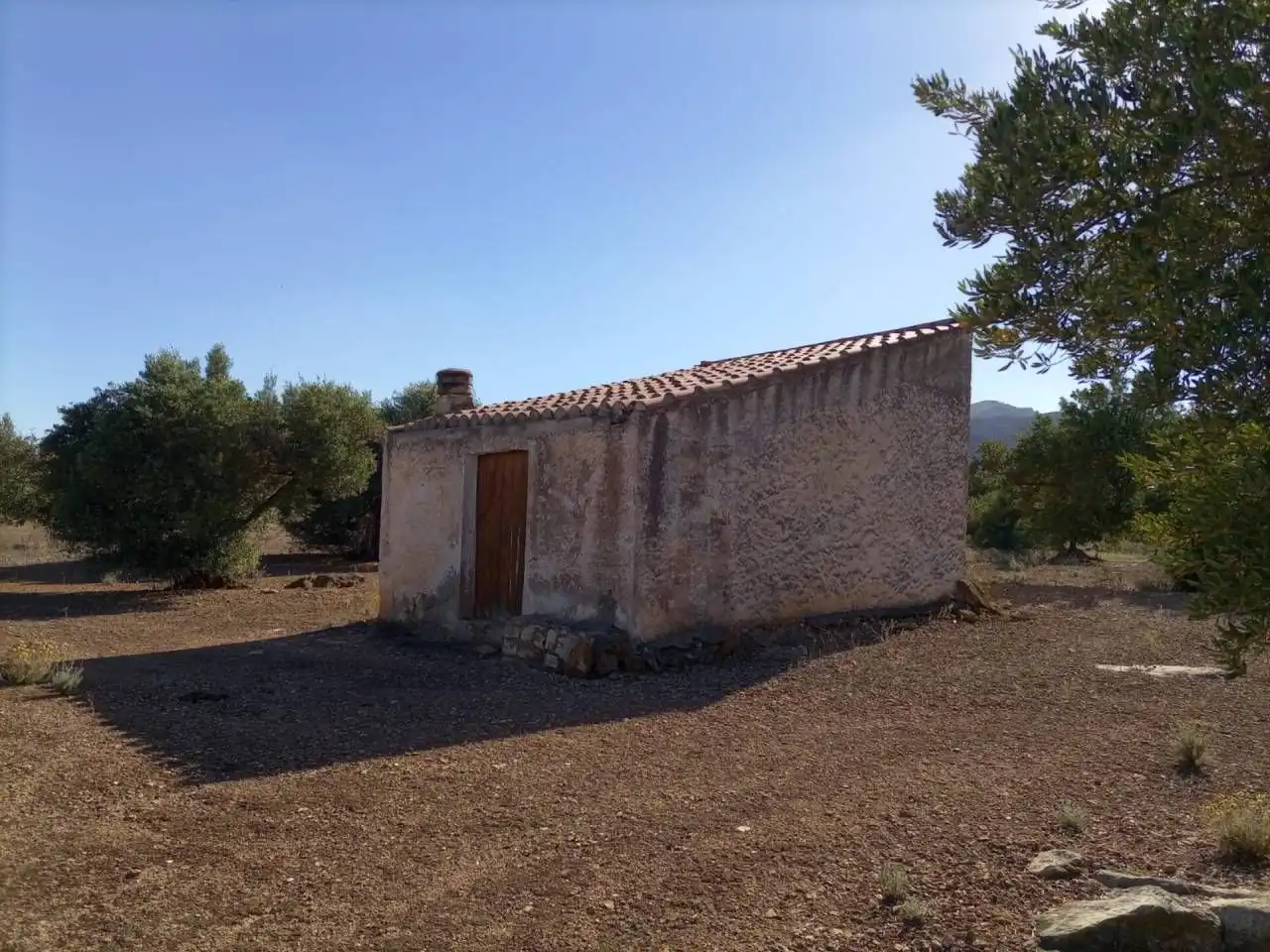 Terrain résidentiel à vendre à Xerta, imagen 2
