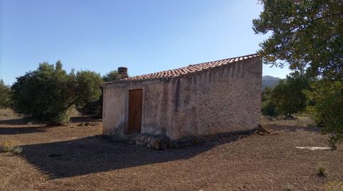 Finca en venta en la población de Xerta de 20.986 m2 de terreno en plena producción plantados de olivos y algarrobos,  tiene una c, imatge 2