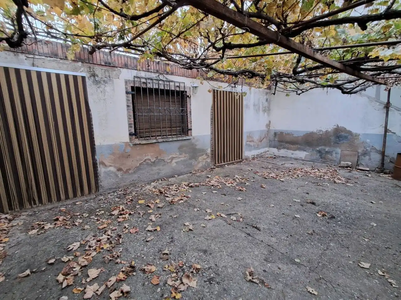 Vista exterior de Finca rústica en venta en Clavijo con Jardín privado y Terraza