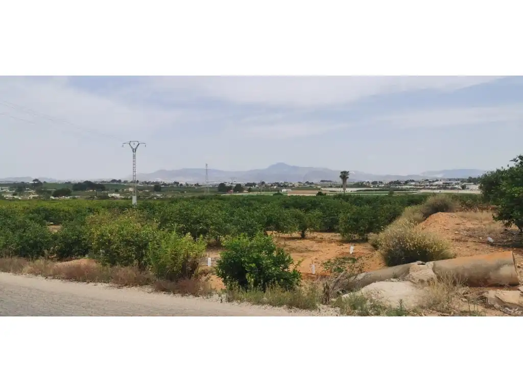 Chalet con piscina en venta en Partida Matanza La, imagen 14