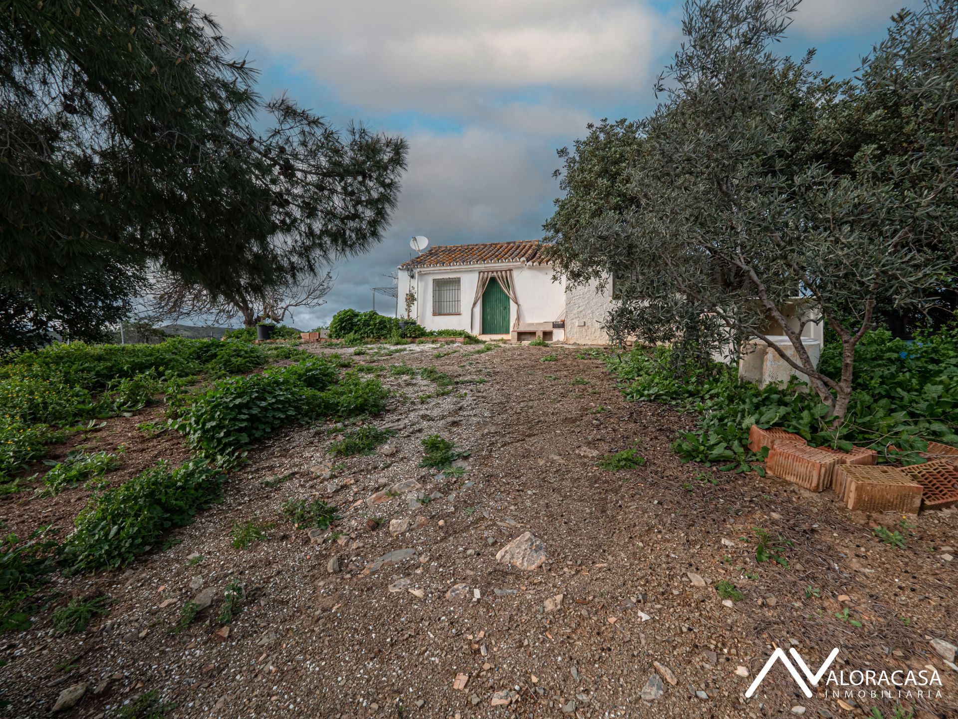 Vista exterior de Finca rústica en venda en Cártama