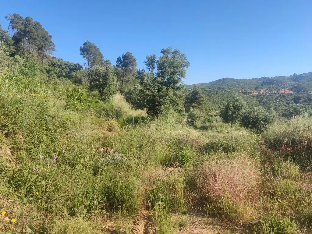 Rural land for sale in Horta de Sant Joan, imagen 8