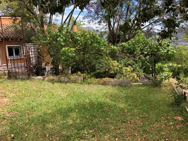 Jardín de Casa o chalet en venta en Palma de Gandia con Aire acondicionado, Jardín privado y Terraza