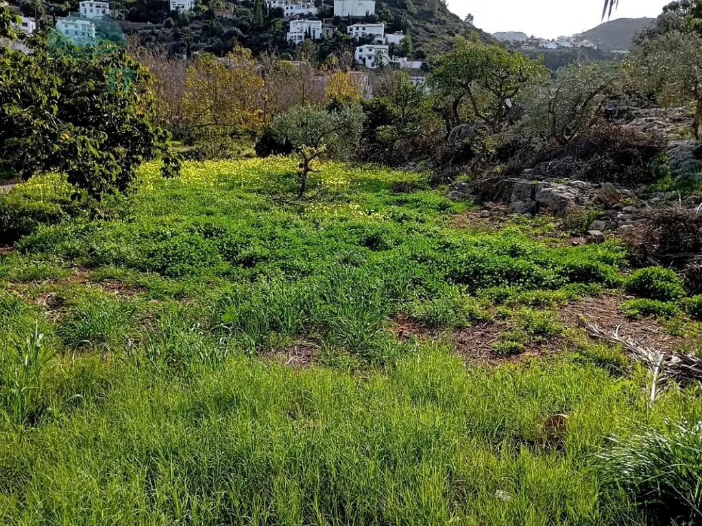 Rural land for sale in Partida racons, imagen 9