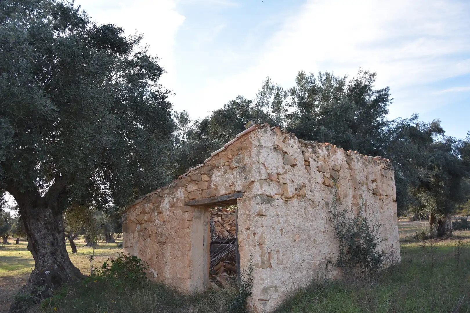 Terreny rústic en venda a Arnes