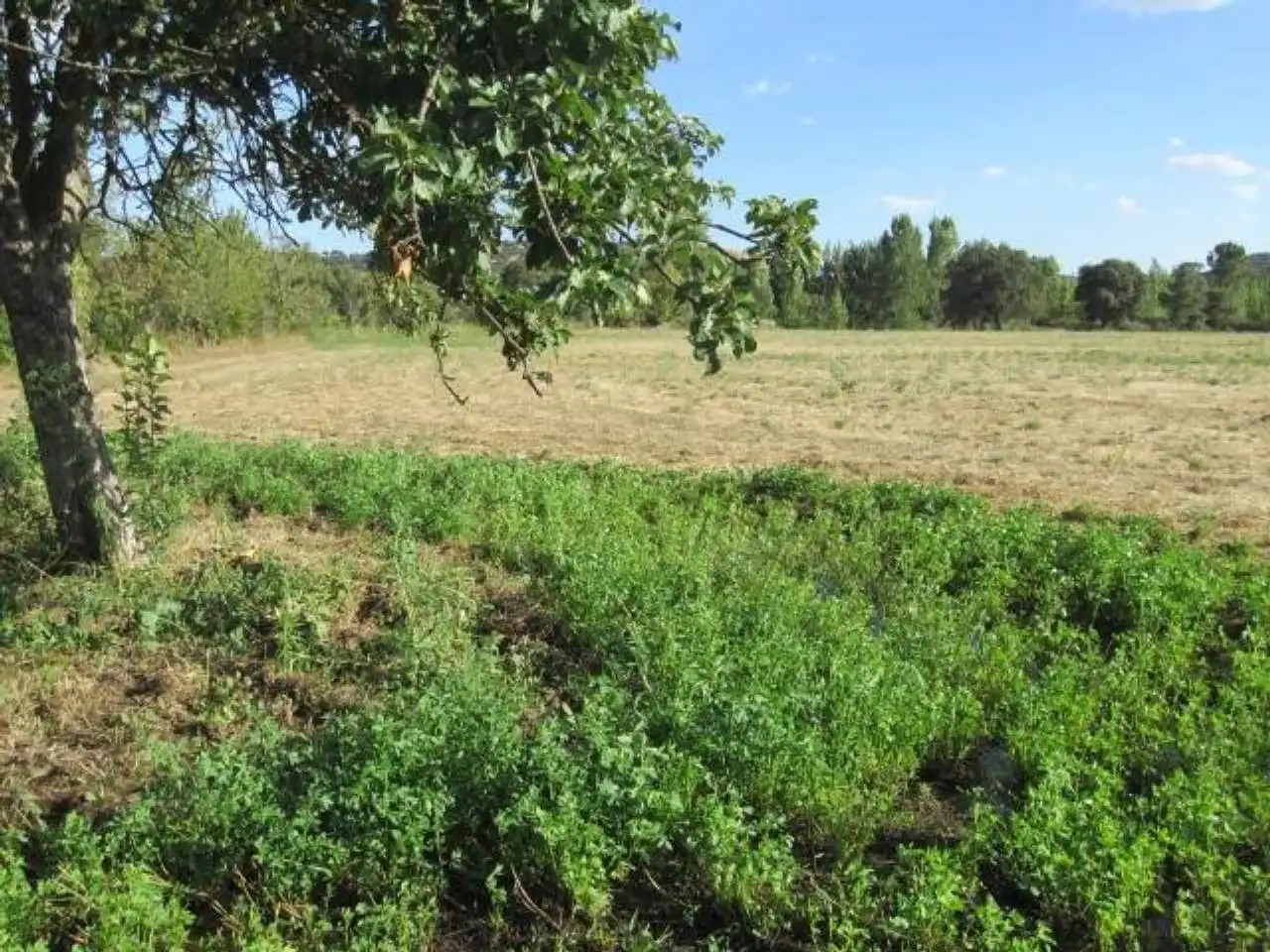 Terreno residencial en venta en Poligono 20, imagen 9