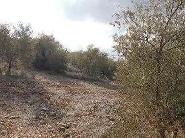 Terreni e lotti in vendita a Alcaudete, imagen 16