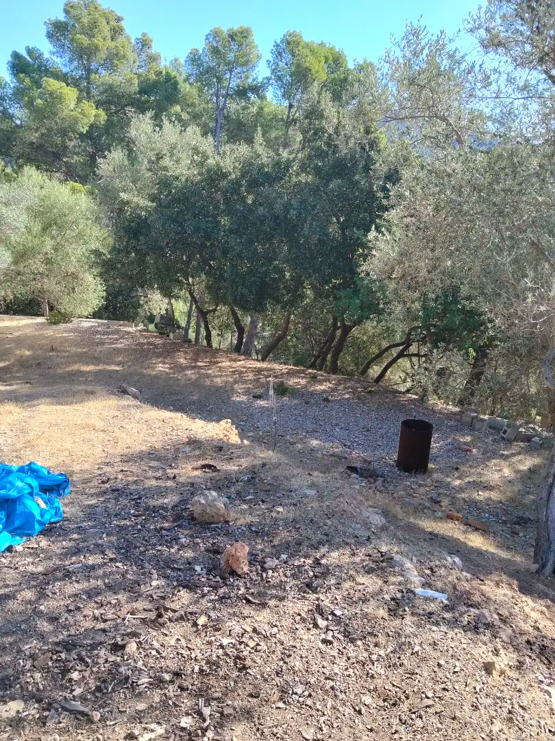 Casa rústica amb jardí en venda a Puigpunyent, imagen 5