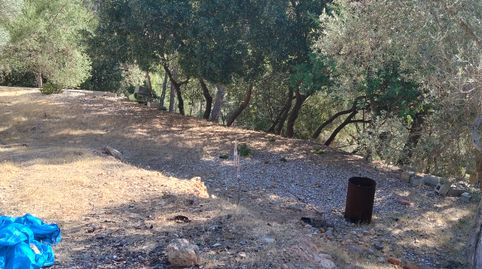Foto 5 de Finca rústica en venda a Puigpunyent, Illes Balears