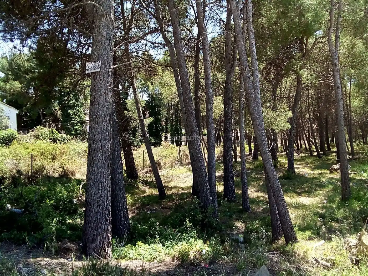Terreny residencial en venda a Carrer Sabadell 40, imagen 8