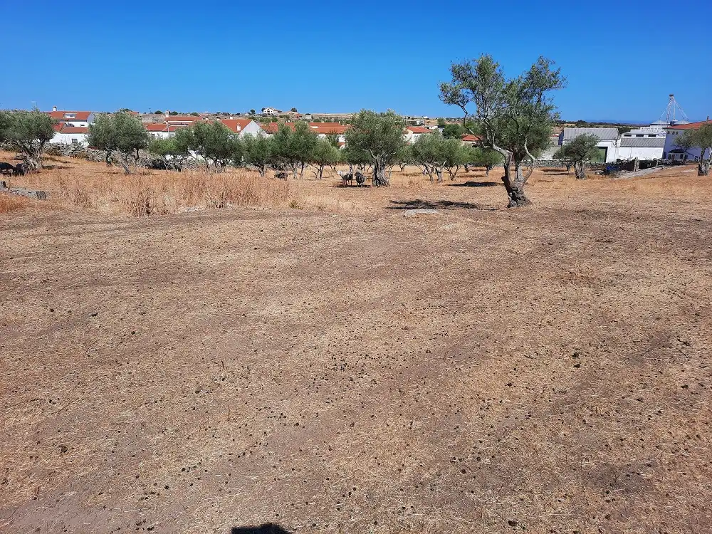 Terreni e lotti in vendita a Avenida de Extremadura 64, imagen 4