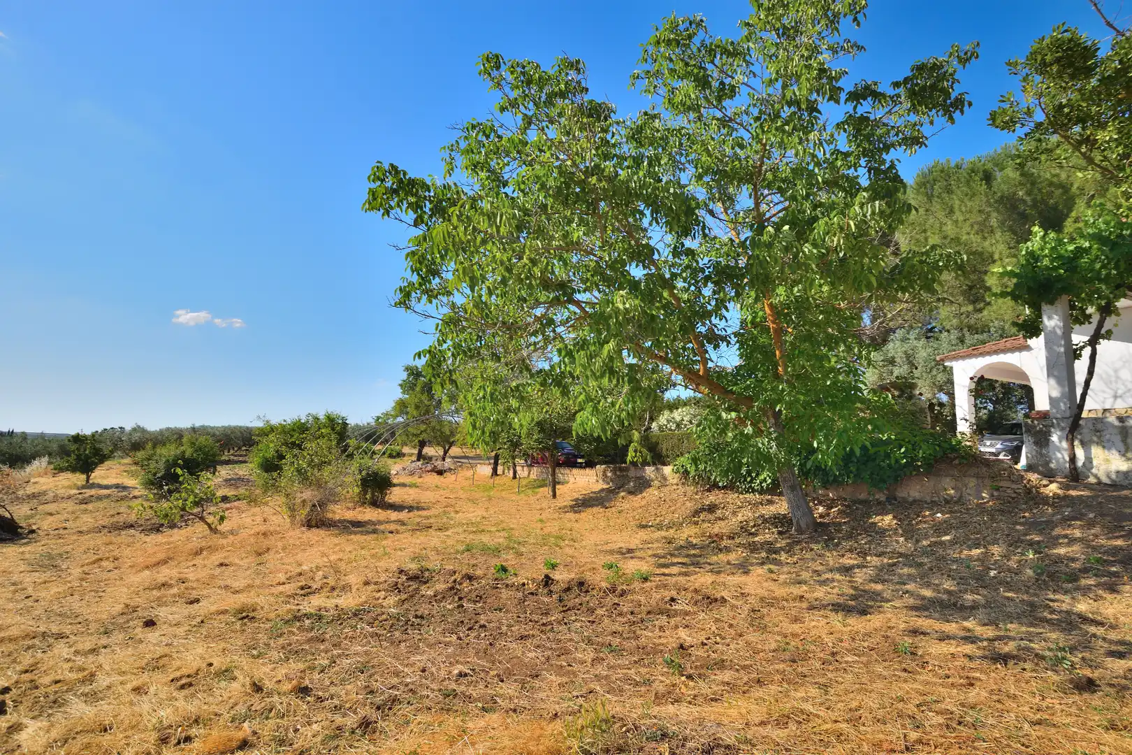 Finca rústica en venta en Setenil de las Bodegas con Jardín privado, Terraza y Trastero