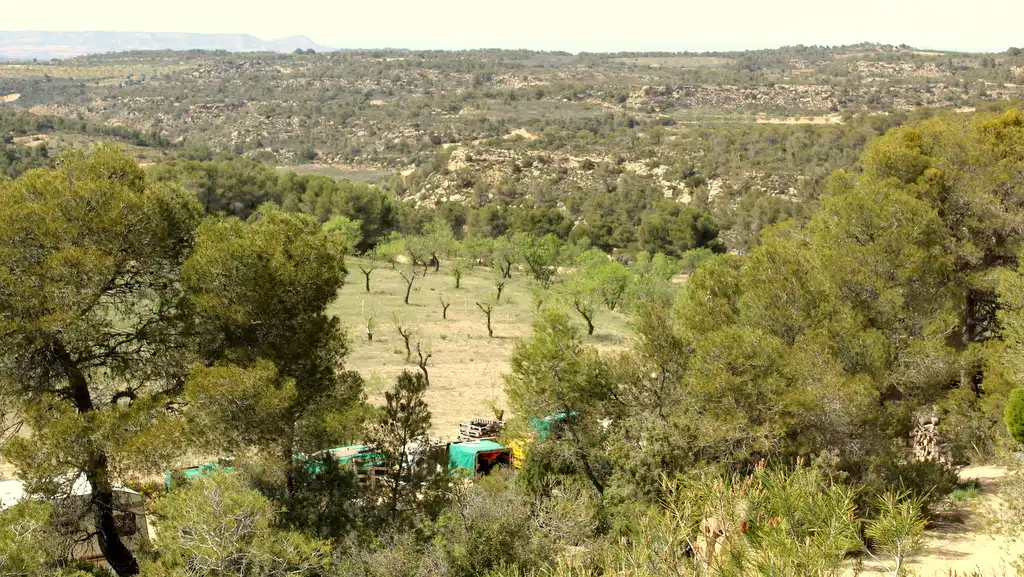 Finca rústica en venda en Maella