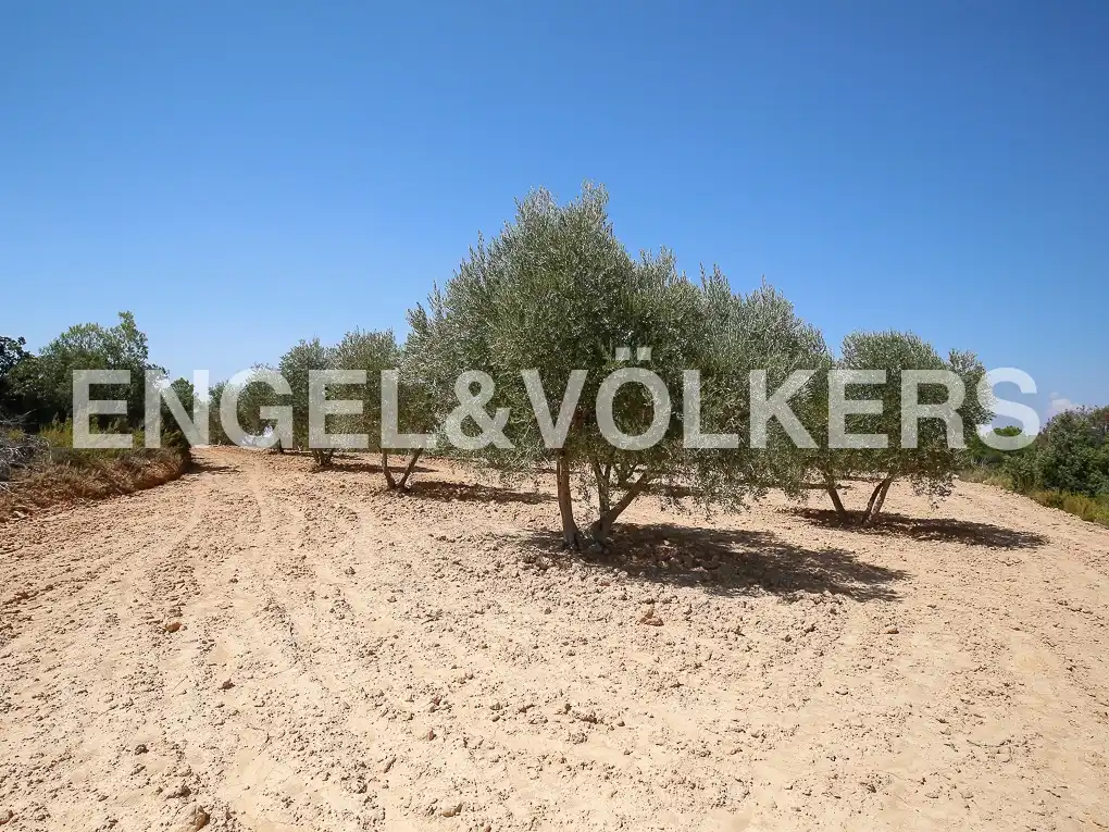 Finca rústica en venda a Requena