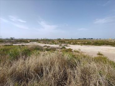 Terreno rustico in vendita a Diseminado Camino Cementerio