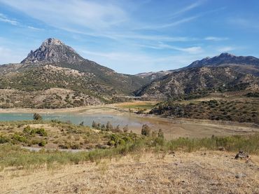 Rural land for sale in Zahara