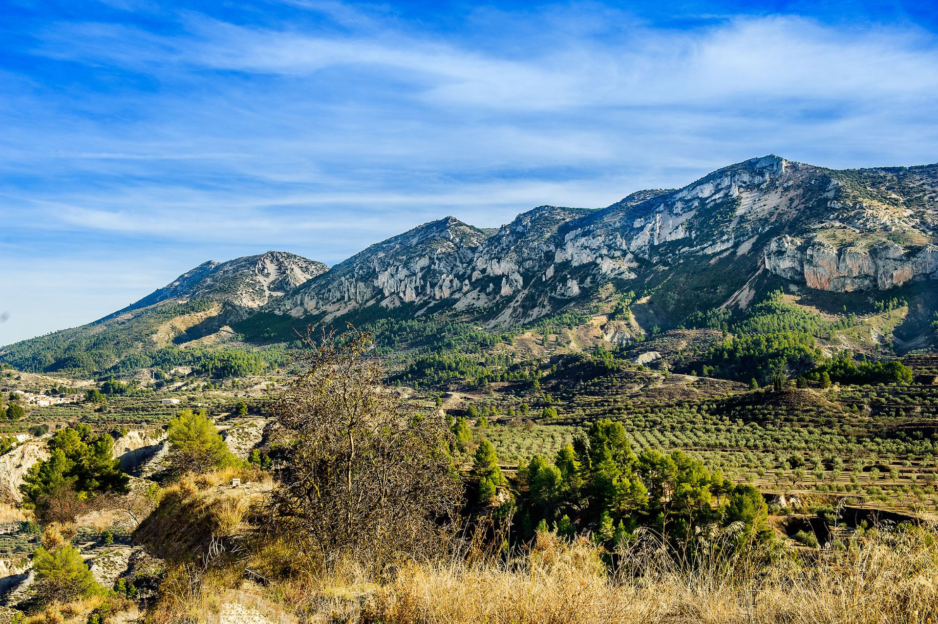 Vista exterior de Edifici en venda en Benasau