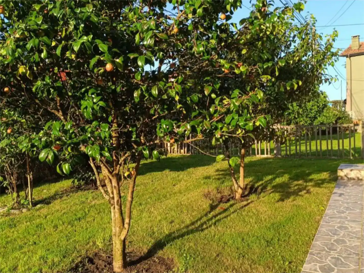 Jardí de Casa adosada en venda en Llanes amb Jardí privat