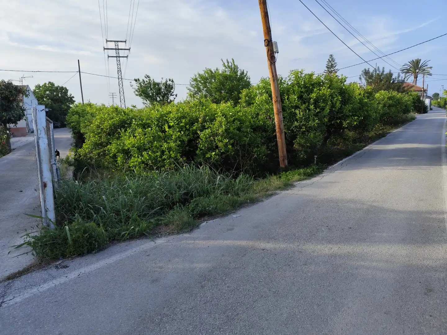 Terreny en venda a Camino Viejo de Orihuela, 7, Torreagüera