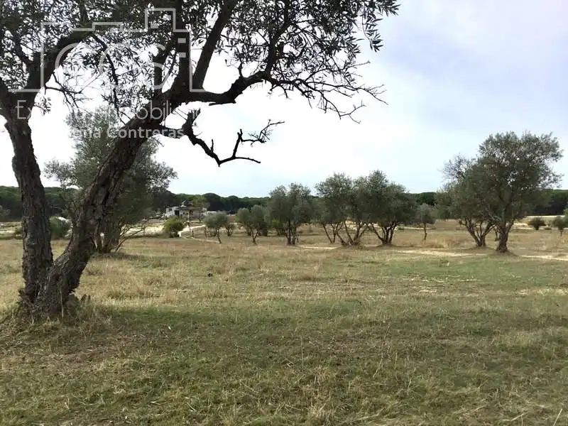 Casa rústica en venda a Almonte ciudad, imagen 5