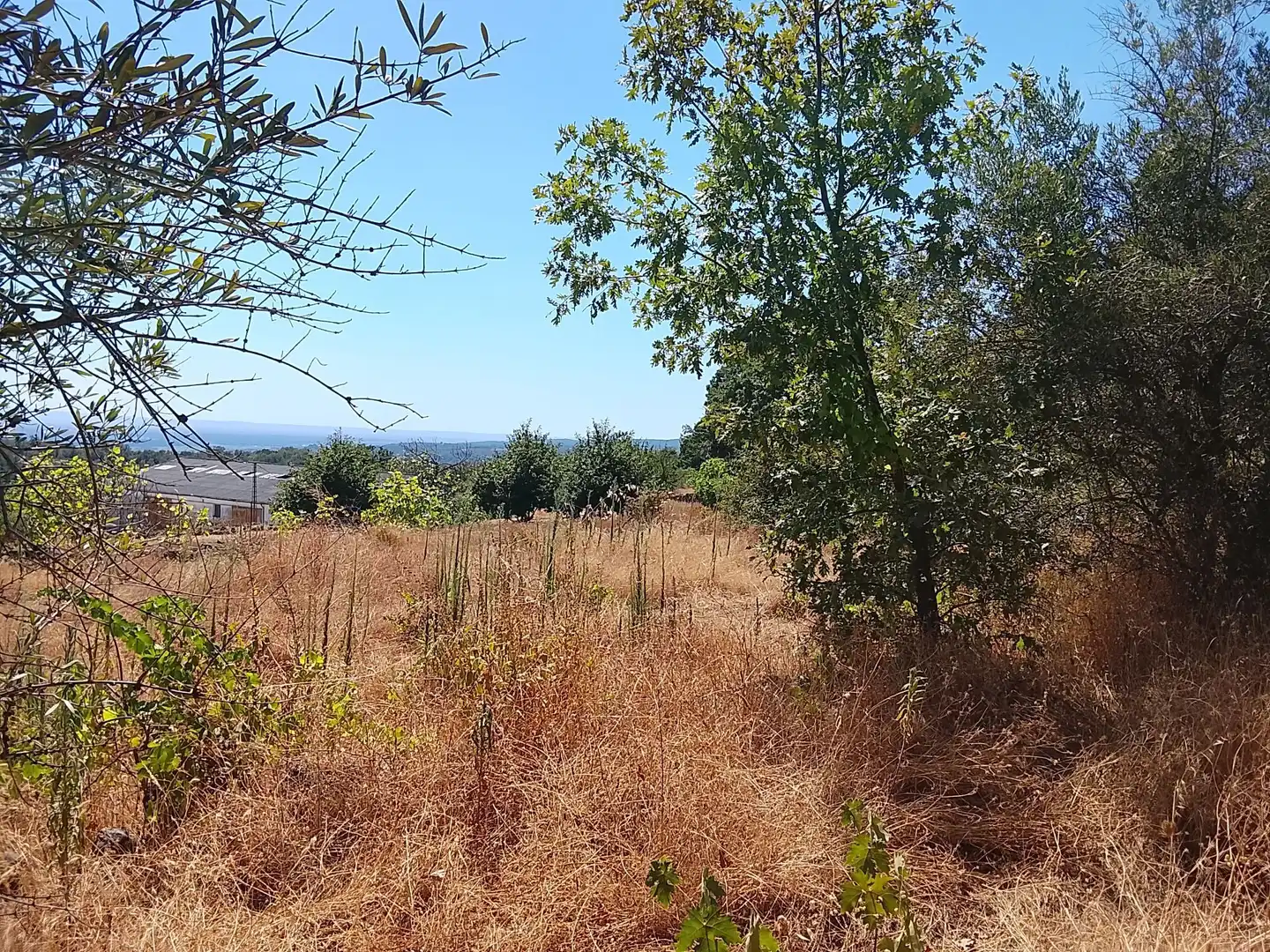 Terreni e lotti in vendita a Talaveruela de la Vera, imagen 18